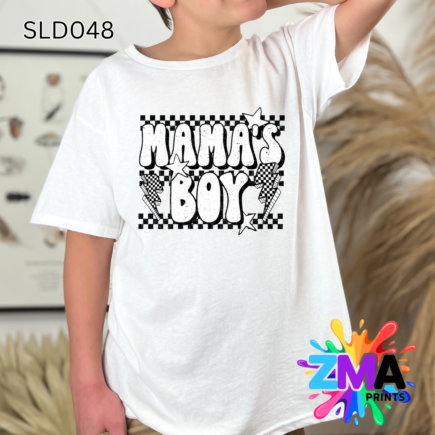SLD048